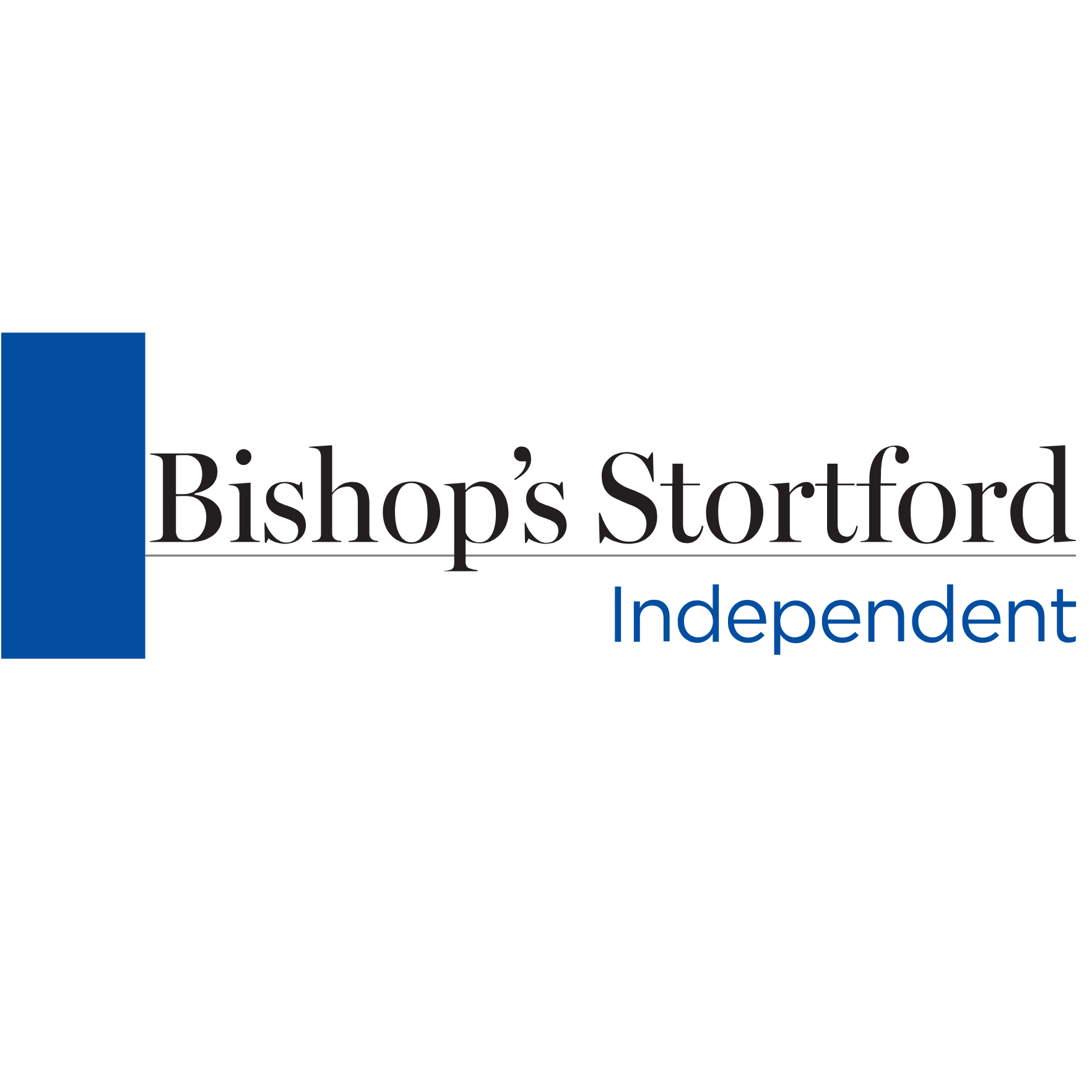 Stortford Town Council calls for Government action to protect